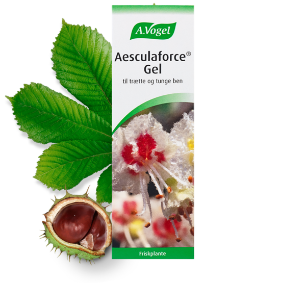 A.Vogel Aesculaforce® Gel (100 g)