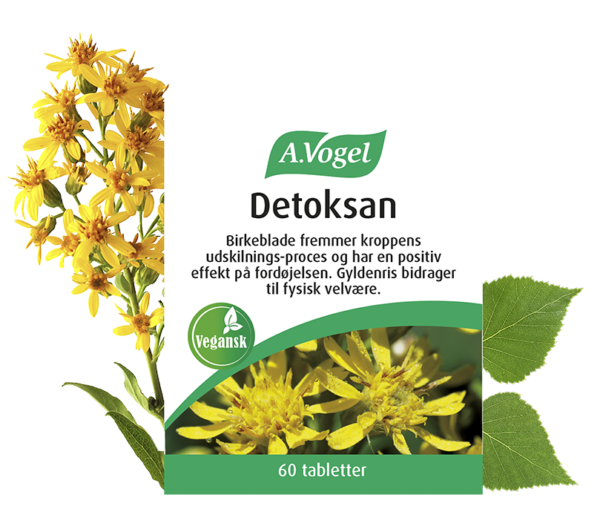 Produktbillede af A.Vogel Detoksan, en vegansk kosttilskudspakke med 60 tabletter. Pakken er dekoreret med gule blomster (gyldenris) og grønne birkeblade. Teksten på pakken fremhæver, at birkeblade fremmer kroppens udskillelsesproces og har en positiv effekt på fordøjelsen, mens gyldenris bidrager til fysisk velvære