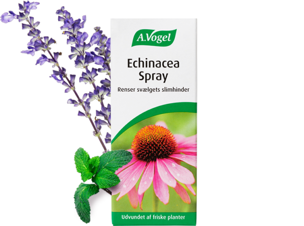 A.Vogel Echinacea Spray (30 ml)