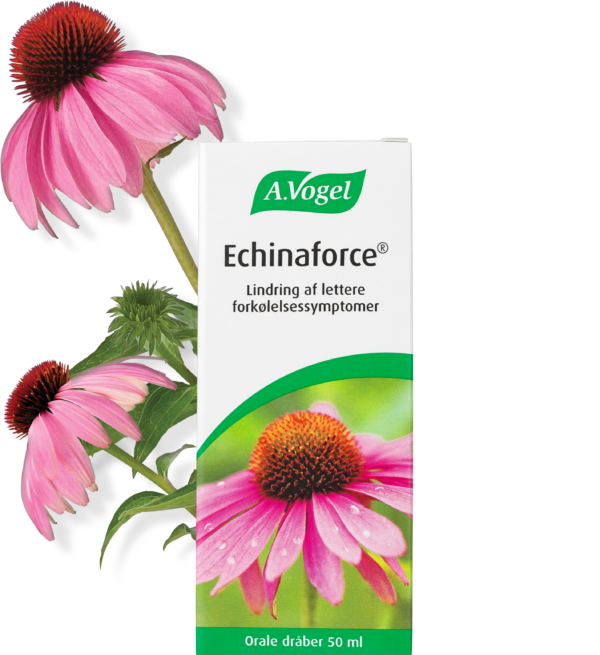 A. Vogel Echinaforce®