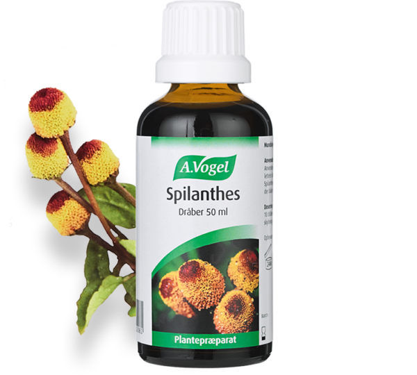 A.Vogel Spilanthes (50 ml)