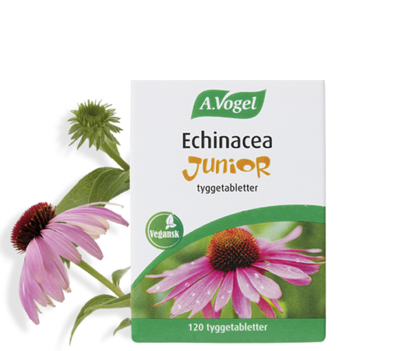 A.Vogel Echinacea Junior (120 tabl.)