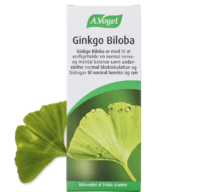 Ginkgo Biloba