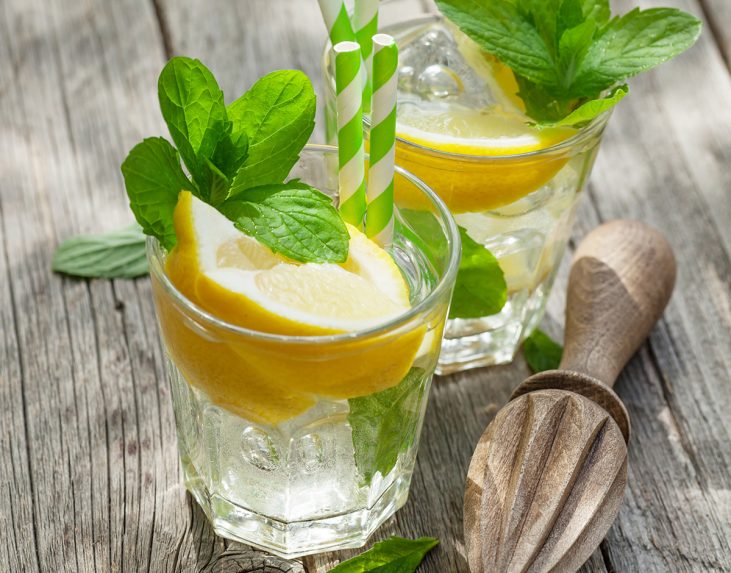 Lemonade-med-citronmelisse-copy-1-aspect-ratio-731-573