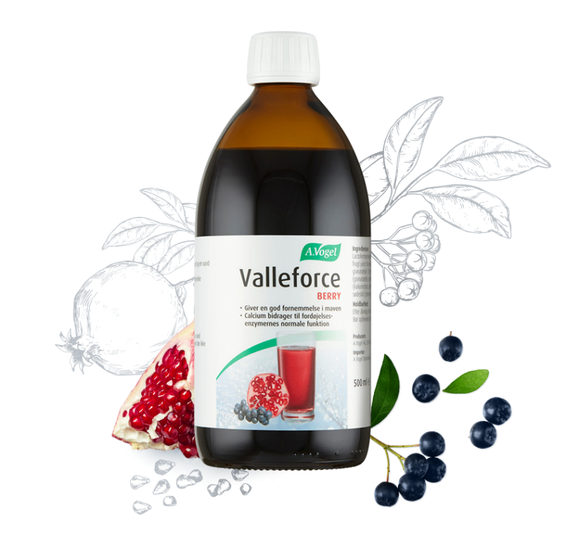 Valleforce-Berry-aspect-ratio-808-764