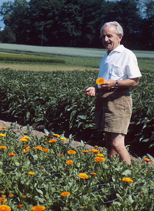 Alfred-Vogel-in-front-of-e-marygold-Calendula-officinalis-field-in-Roggwil_4369-2-aspect-ratio-507-692