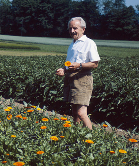 Alfred-Vogel-in-front-of-e-marygold-Calendula-officinalis-field-in-Roggwil_4369-2-aspect-ratio-469-559