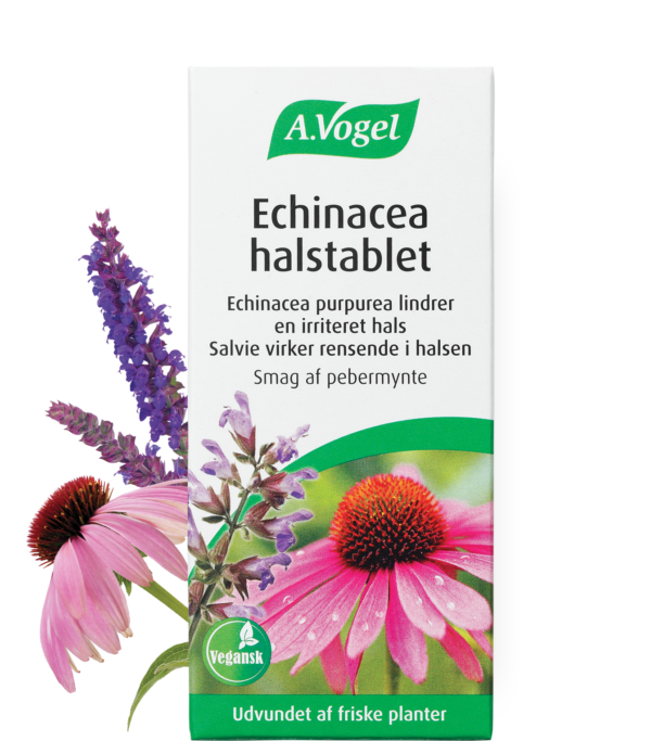 echinacea halstablet. echinacea purpurea lindrer en irriteret hals. Salvie virker rensende i halsen. Smag af pebermynte