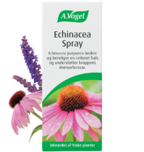 A.Vogel Echinacea Spray (30 ml)