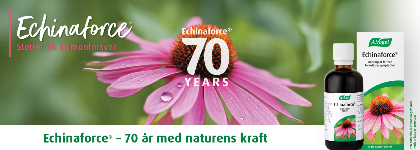 Echinaforce A.Vogel naturlægemiddel med echinacea purpurea – støtter immunforsvaret. 70 års jubilæum med rød solhat. Husk at læse pligtteksten