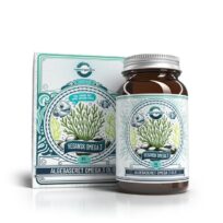 Raw Organics Vegansk omega-3 (60 stk.)