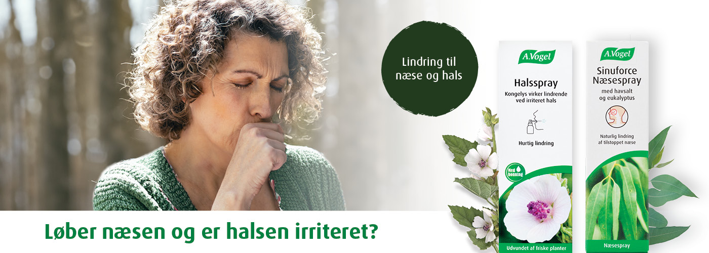 Echinaforce A.Vogel naturlægemiddel med echinacea purpurea – støtter immunforsvaret. 70 års jubilæum med rød solhat. Husk at læse pligtteksten