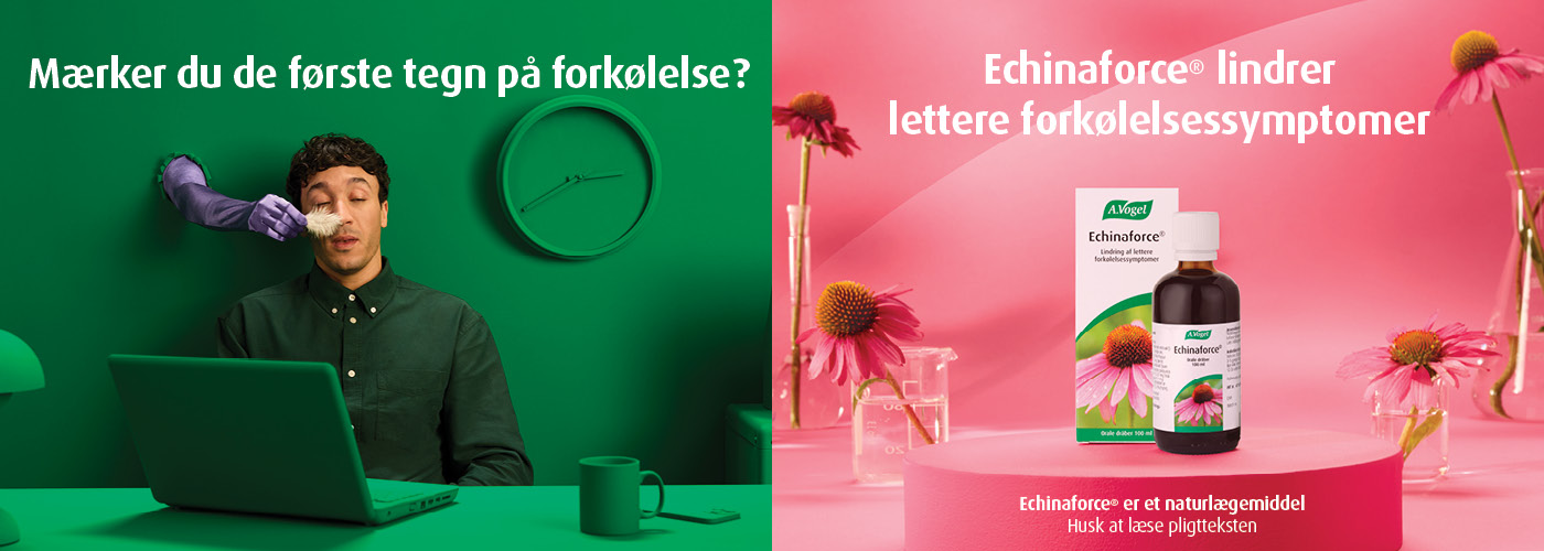 Echinaforce A.Vogel naturlægemiddel med echinacea purpurea – støtter immunforsvaret. 70 års jubilæum med rød solhat. Husk at læse pligtteksten